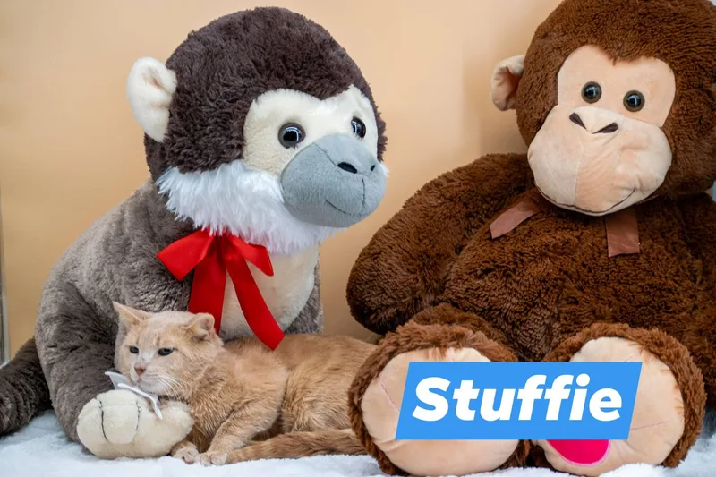 Stuffie
