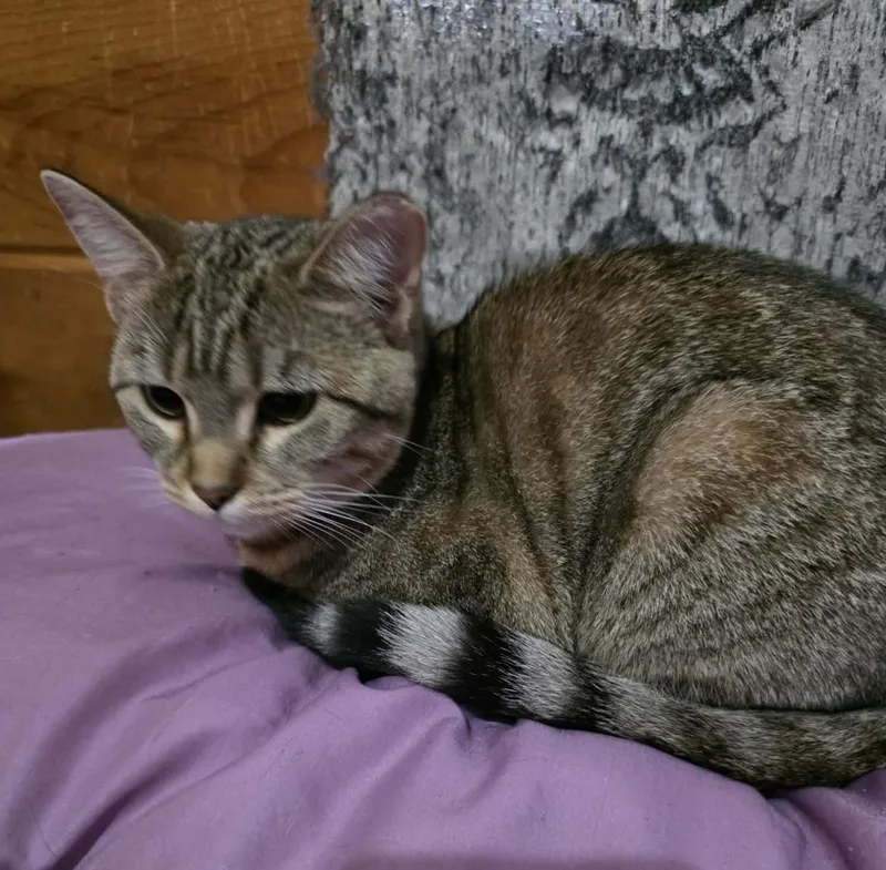 Gabby & Delilah thumbnail 2