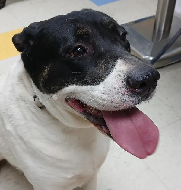 Roulette thumbnail 2