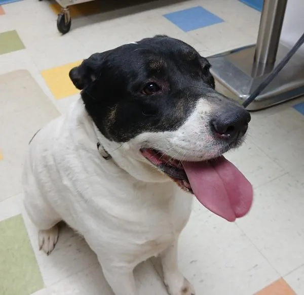 Roulette thumbnail 3