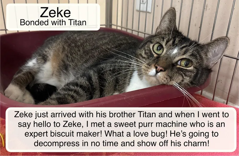 Zeke & Titan At