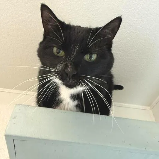 Michelle thumbnail 2