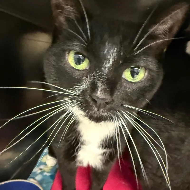 Michelle thumbnail 3