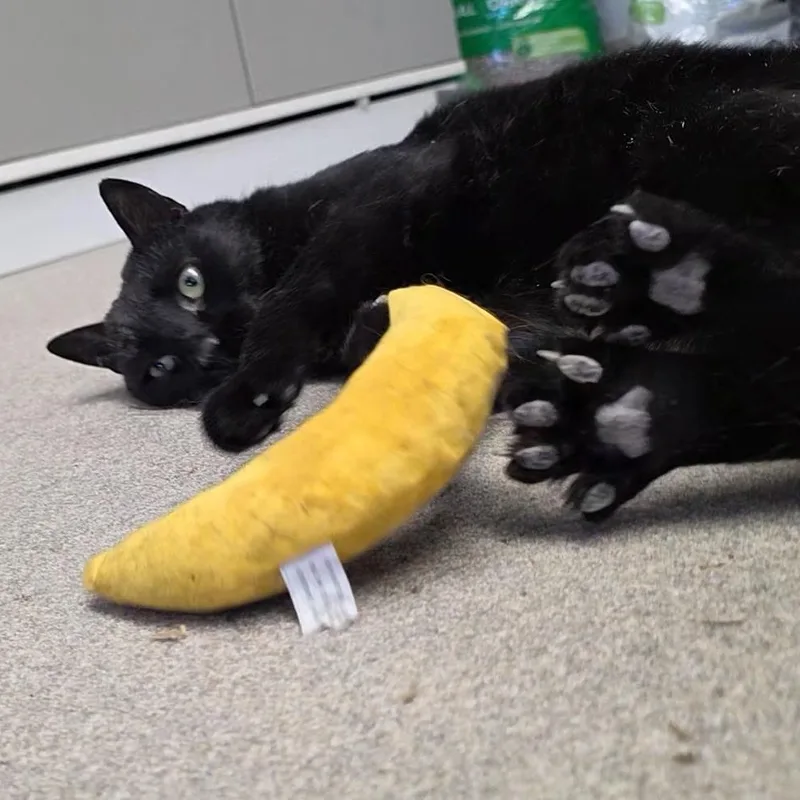 Jelly Bean thumbnail 4