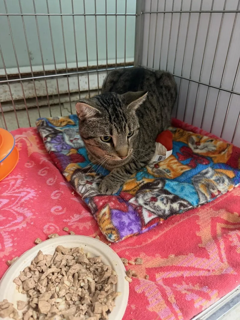 Thorne At The Luna thumbnail 2