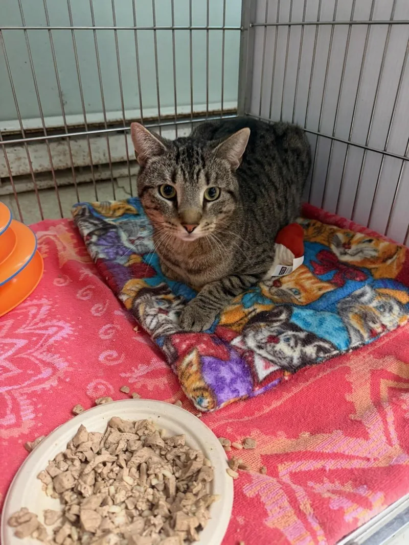 Thorne At The Luna thumbnail 3