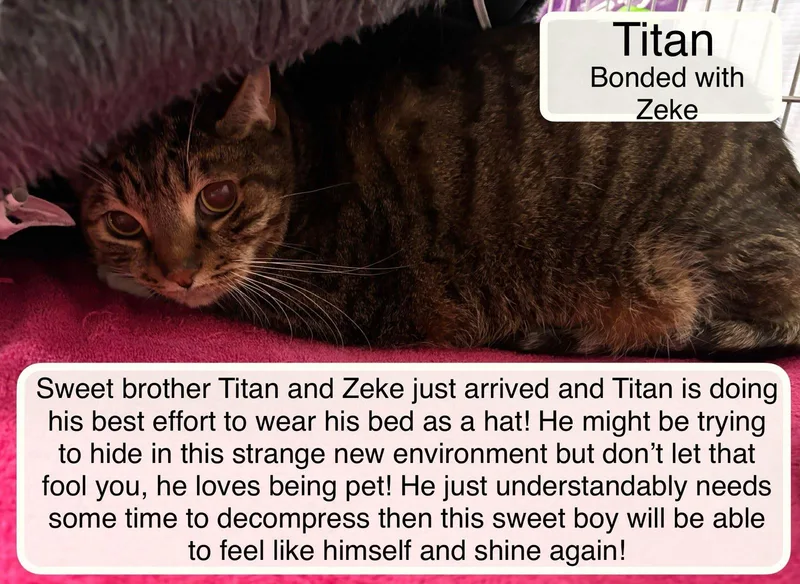 Titan & Zeke At
