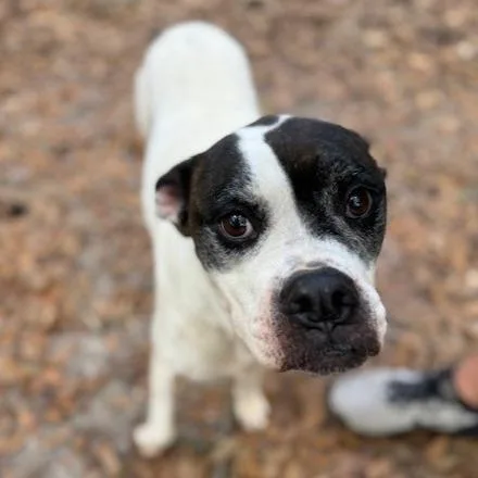 Daisy Lou Aka Daisy thumbnail 2