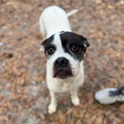 Daisy Lou Aka Daisy thumbnail 5