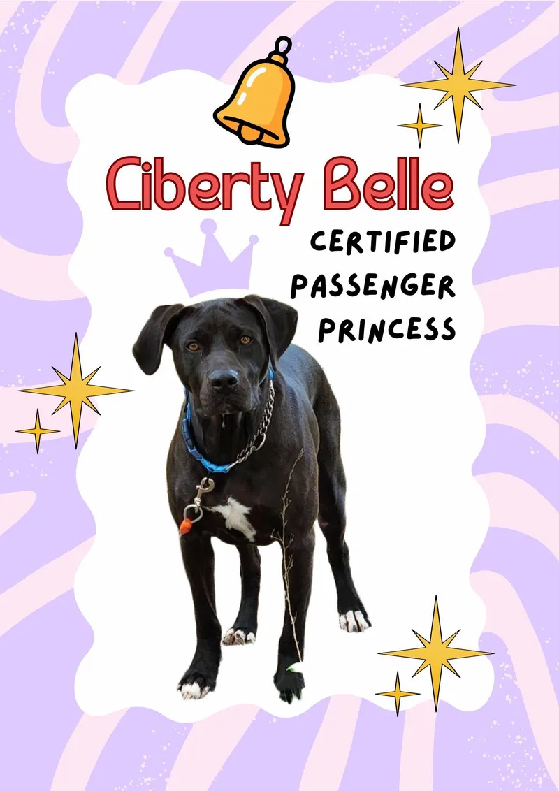 Liberty Belle