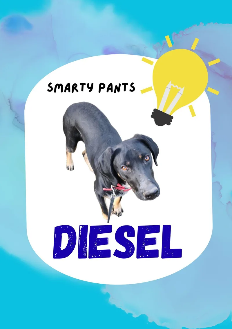 Diesel thumbnail 2