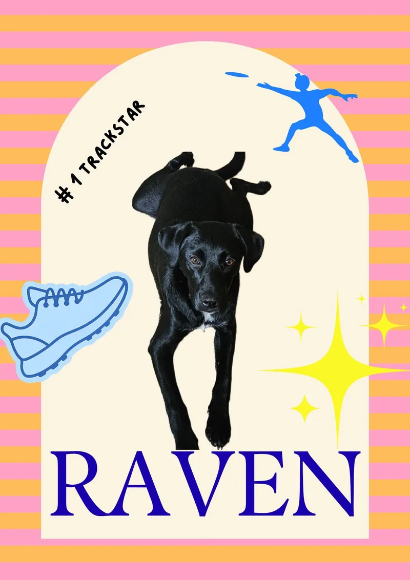 Raven