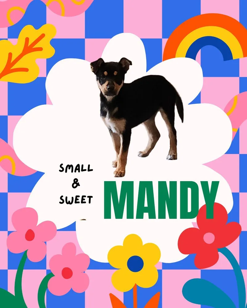 Mandy thumbnail 4
