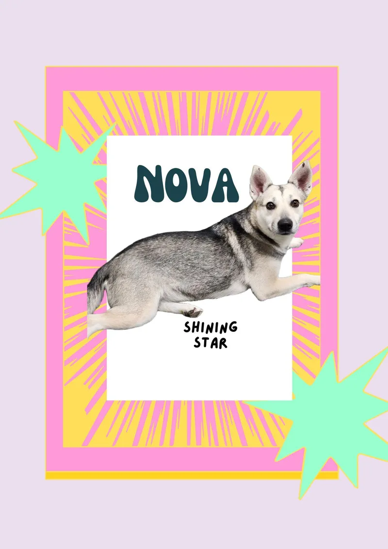Nova