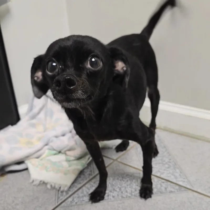 Ziggy Bob Marley thumbnail 2