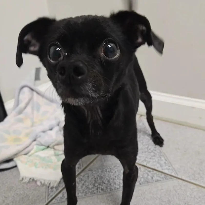 Ziggy Bob Marley thumbnail 3