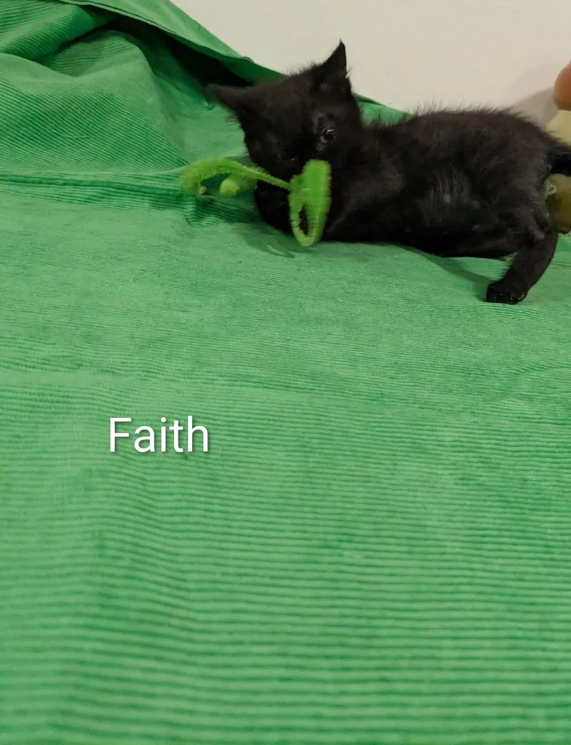Faith