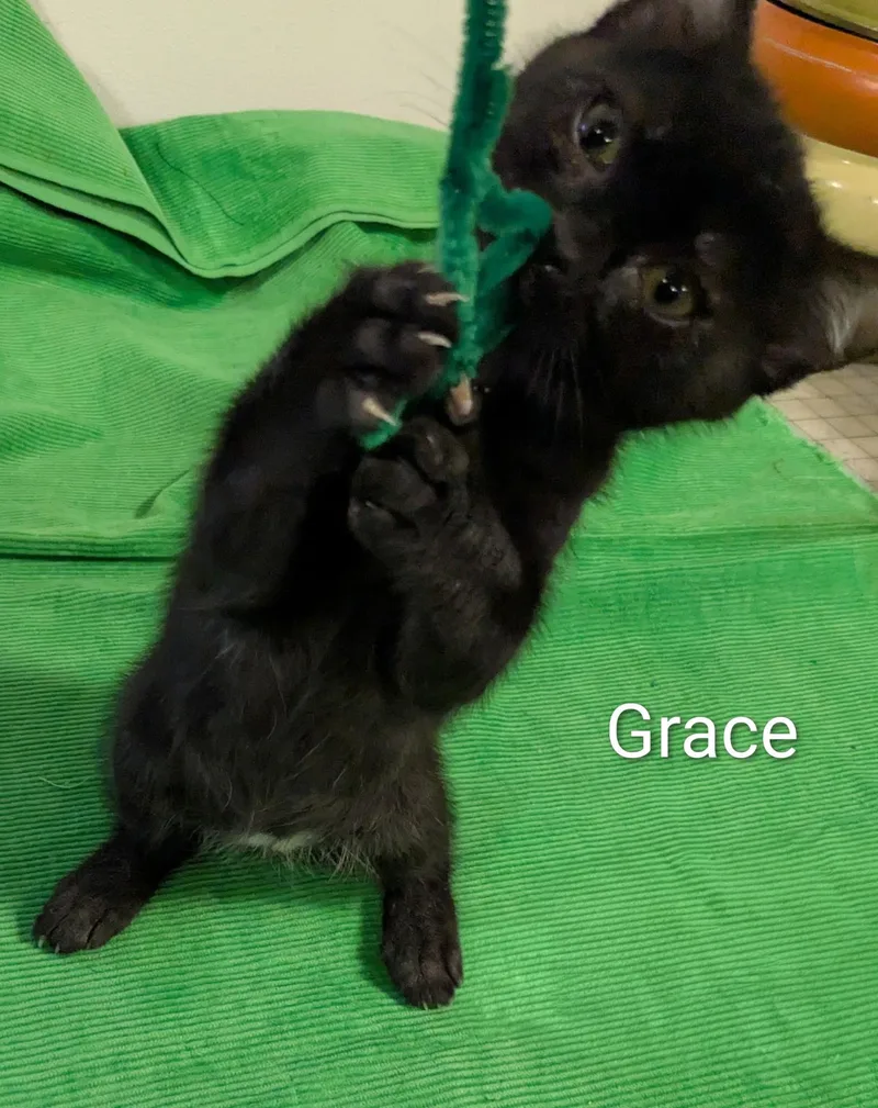 Grace