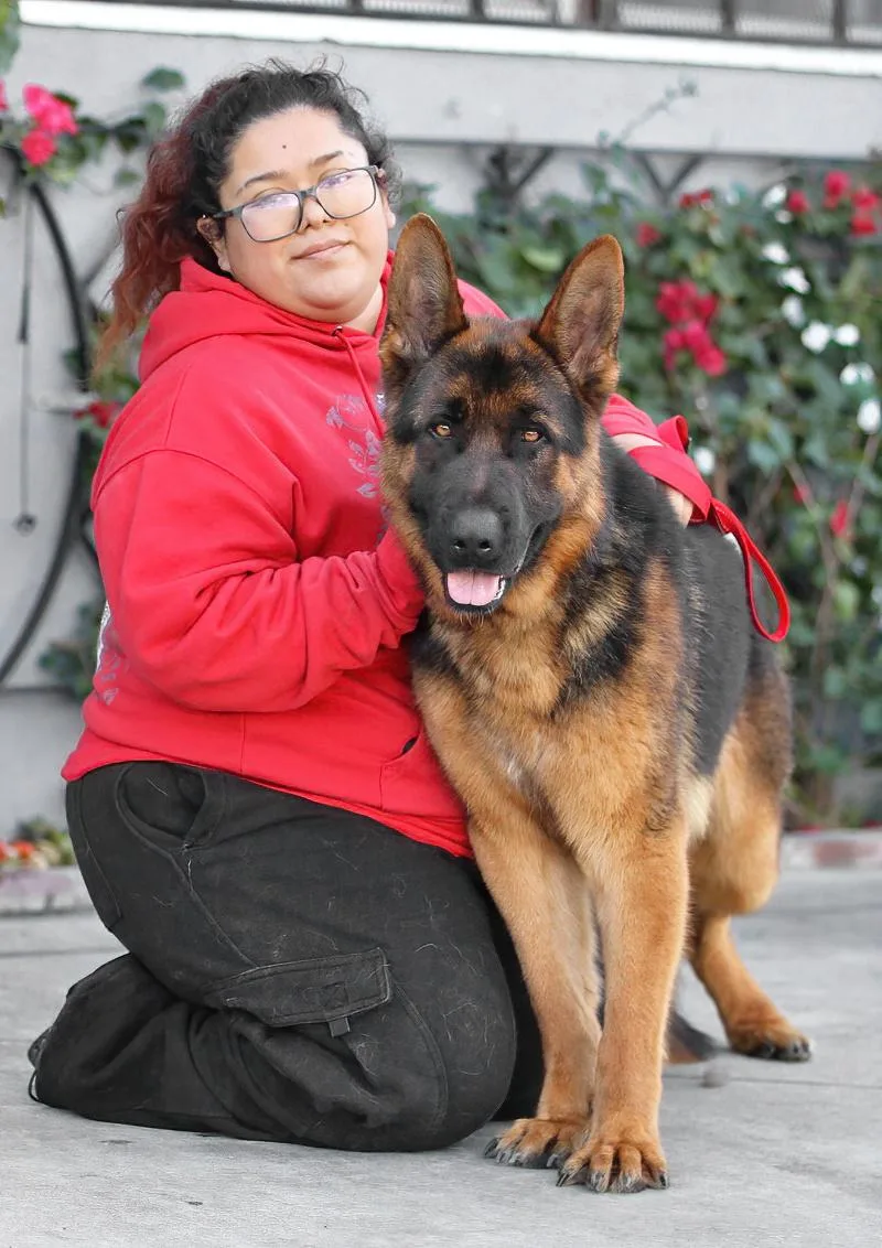 Marcel Von Medow thumbnail 3