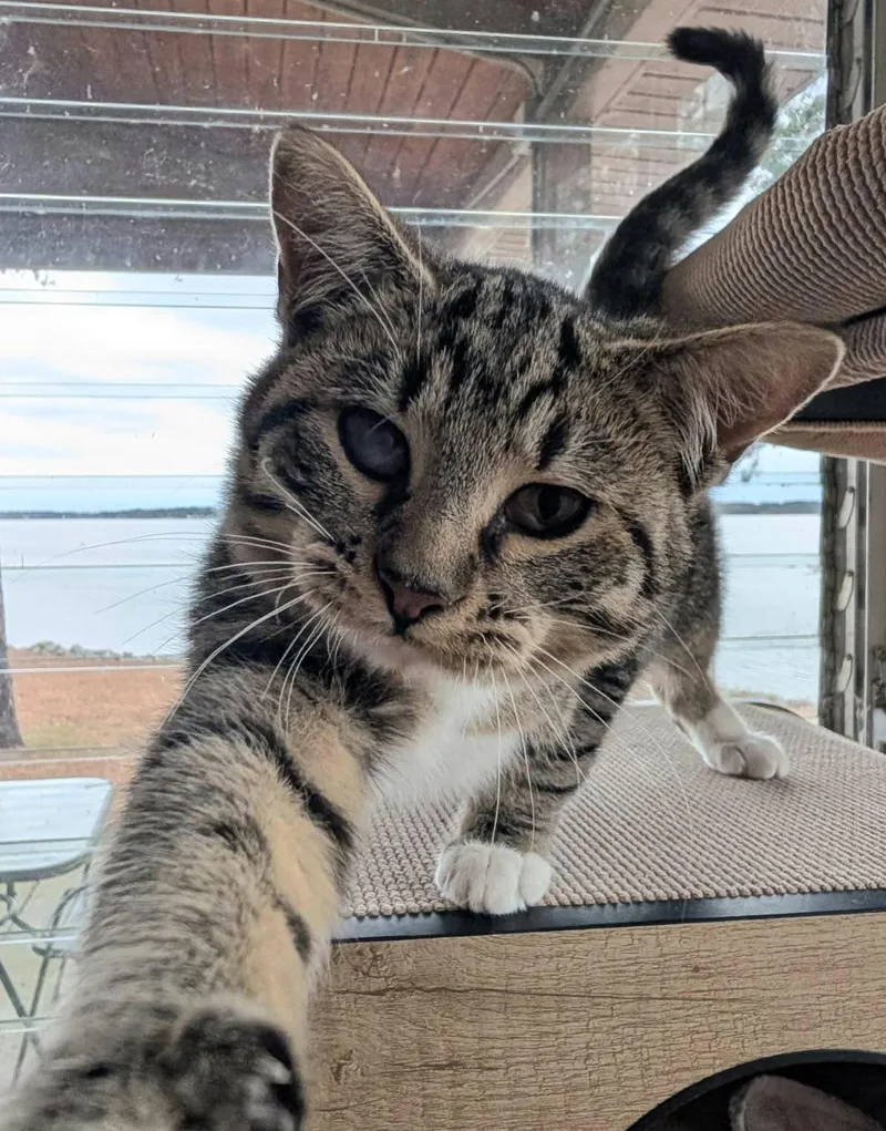 Rufus Lee thumbnail 2