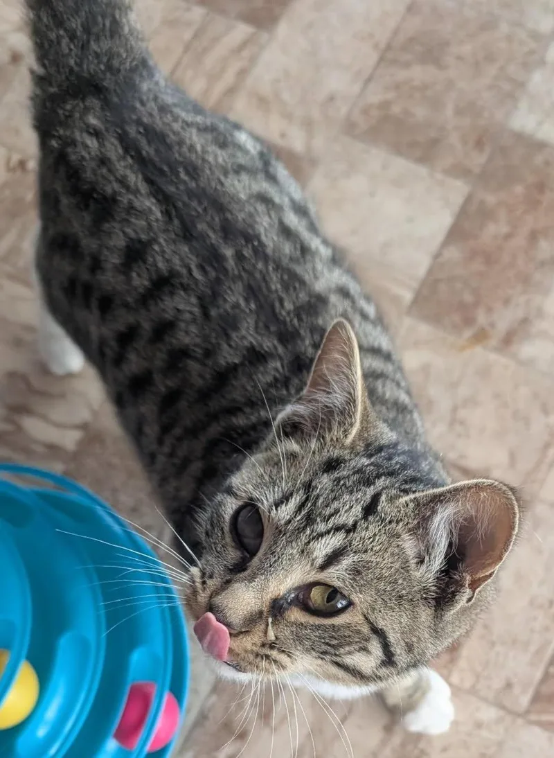 Rufus Lee thumbnail 4