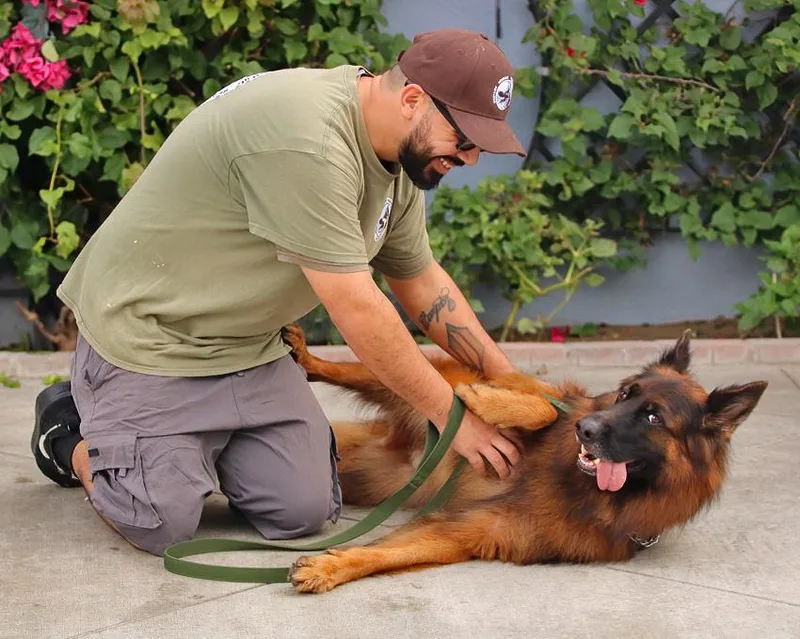 Ranger Von Raisdorf thumbnail 4