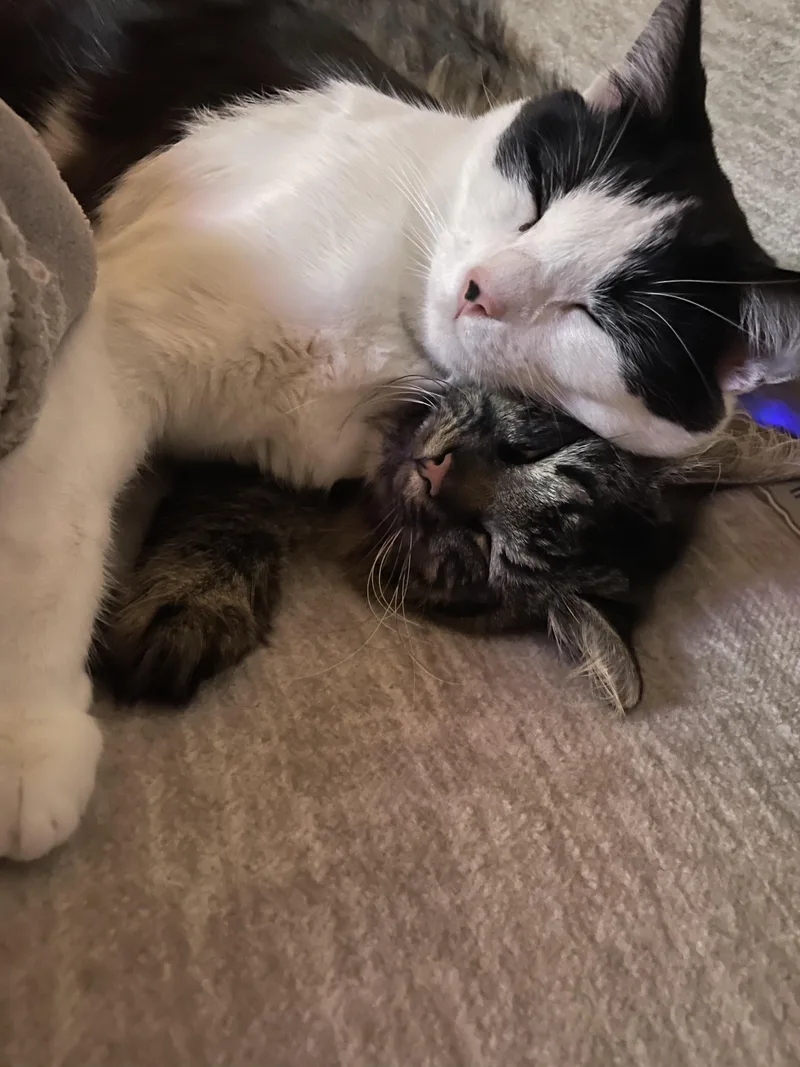 Monroe And Wayne thumbnail 2