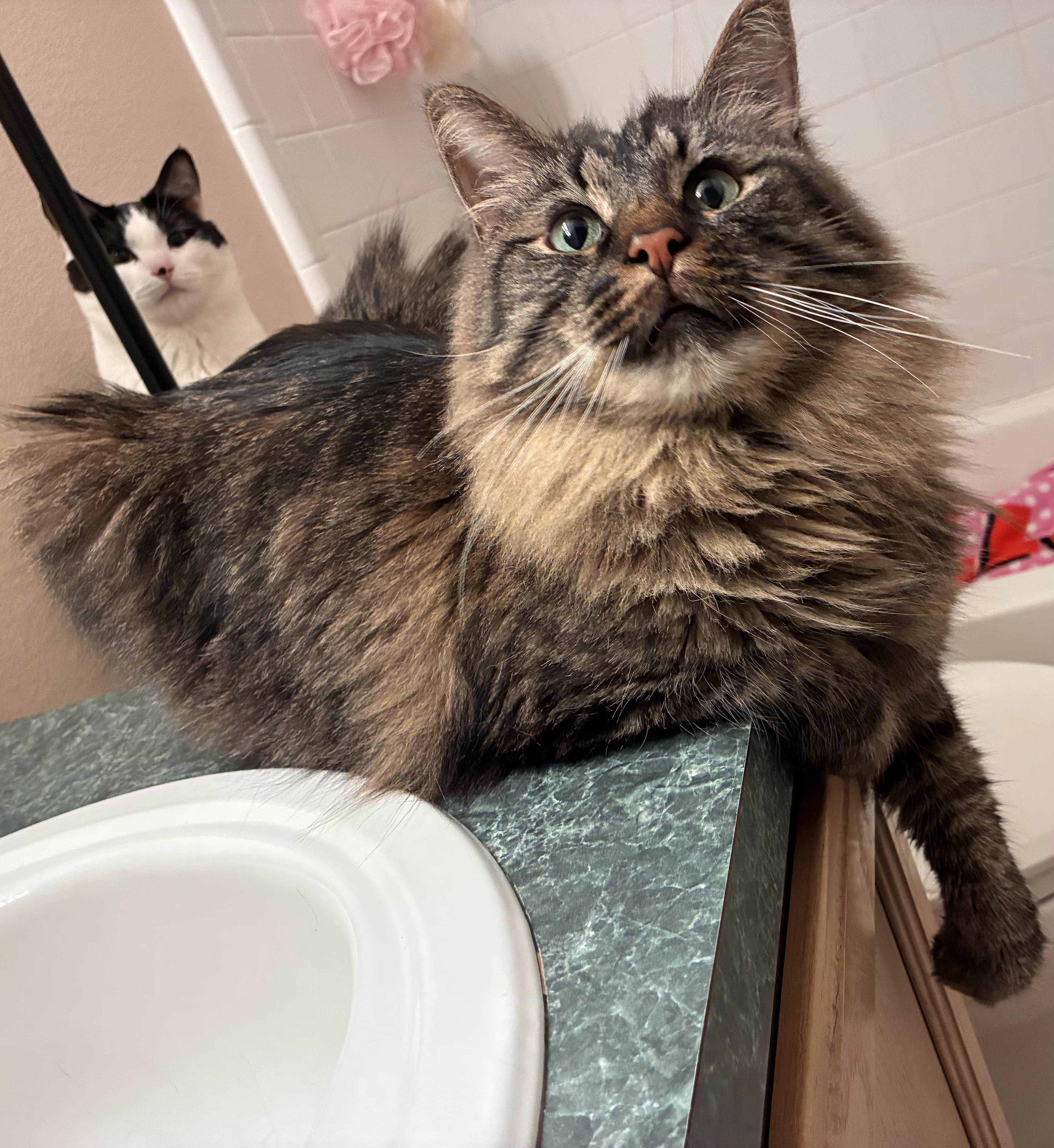 Monroe And Wayne thumbnail 4