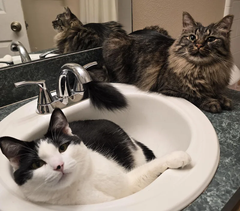 Monroe And Wayne thumbnail 5