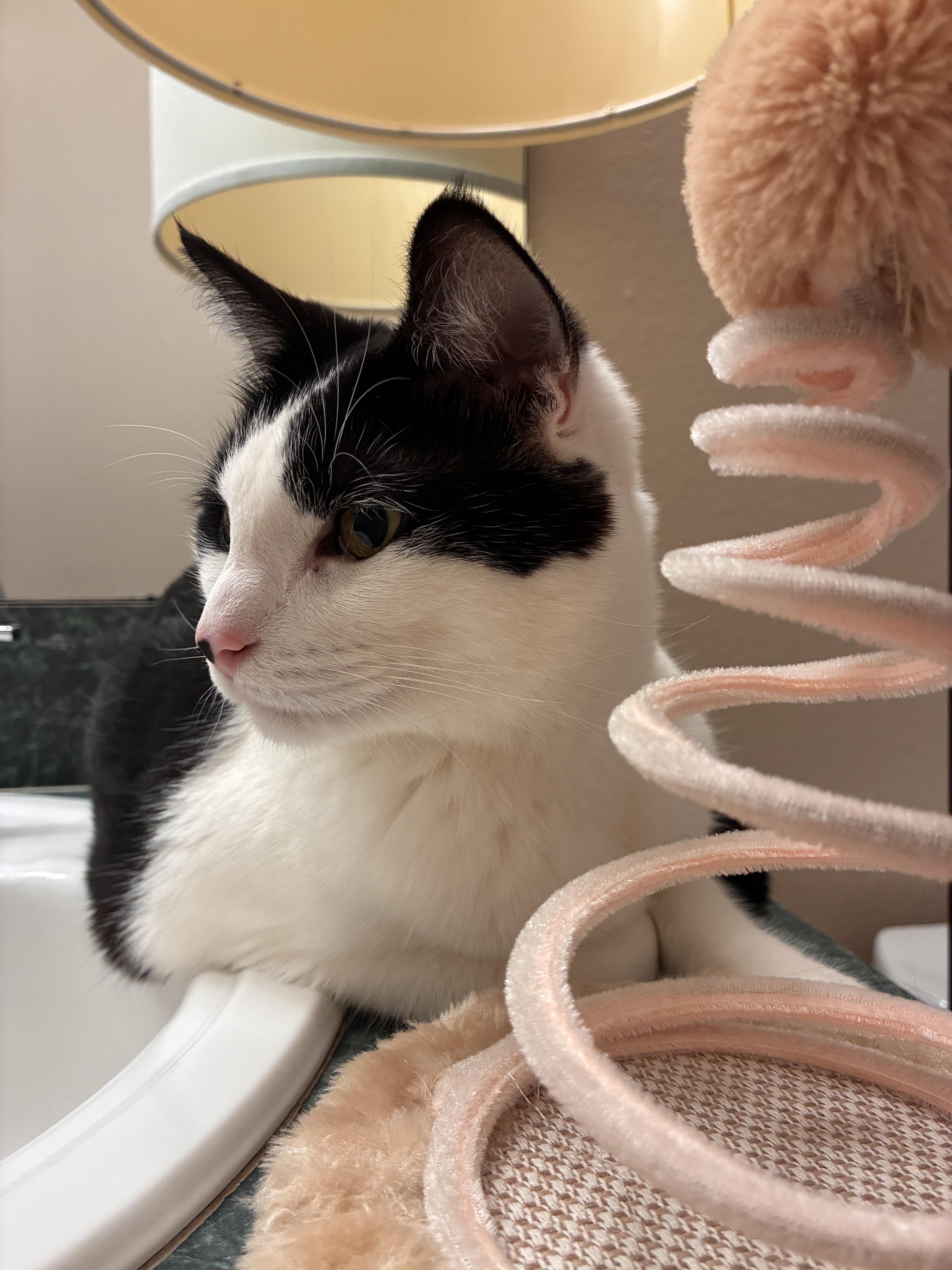 Monroe And Wayne thumbnail 6