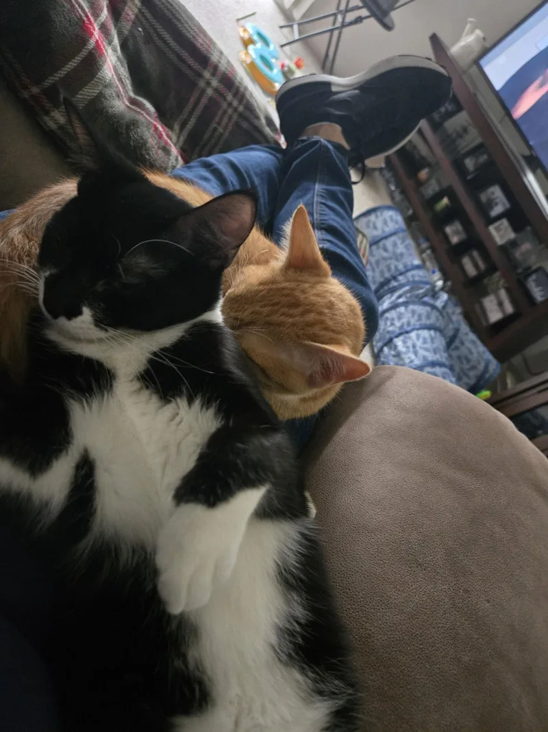 Garfield thumbnail 2