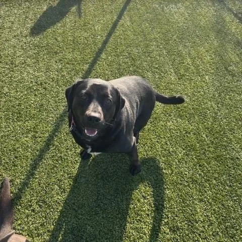 Jahnessa thumbnail 2