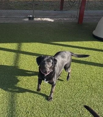 Jahnessa thumbnail 4