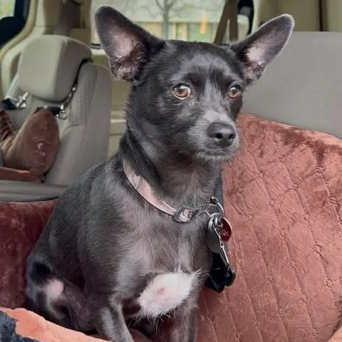 Rico "duffus" thumbnail 2