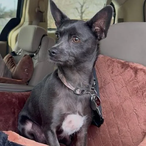 Rico "duffus" thumbnail 3