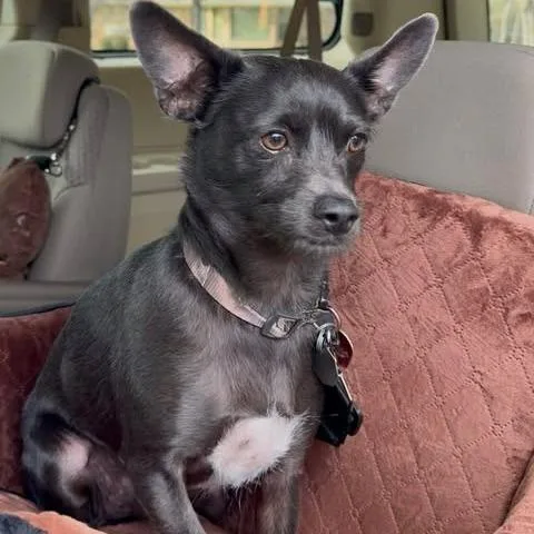 Rico "duffus" thumbnail 4