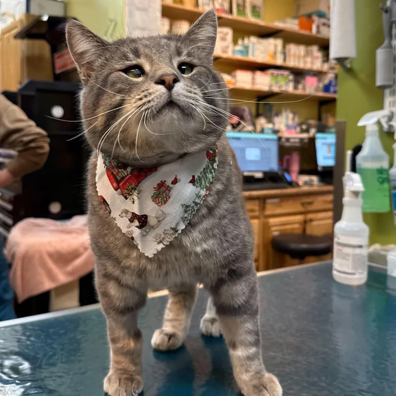 Concrete thumbnail 2