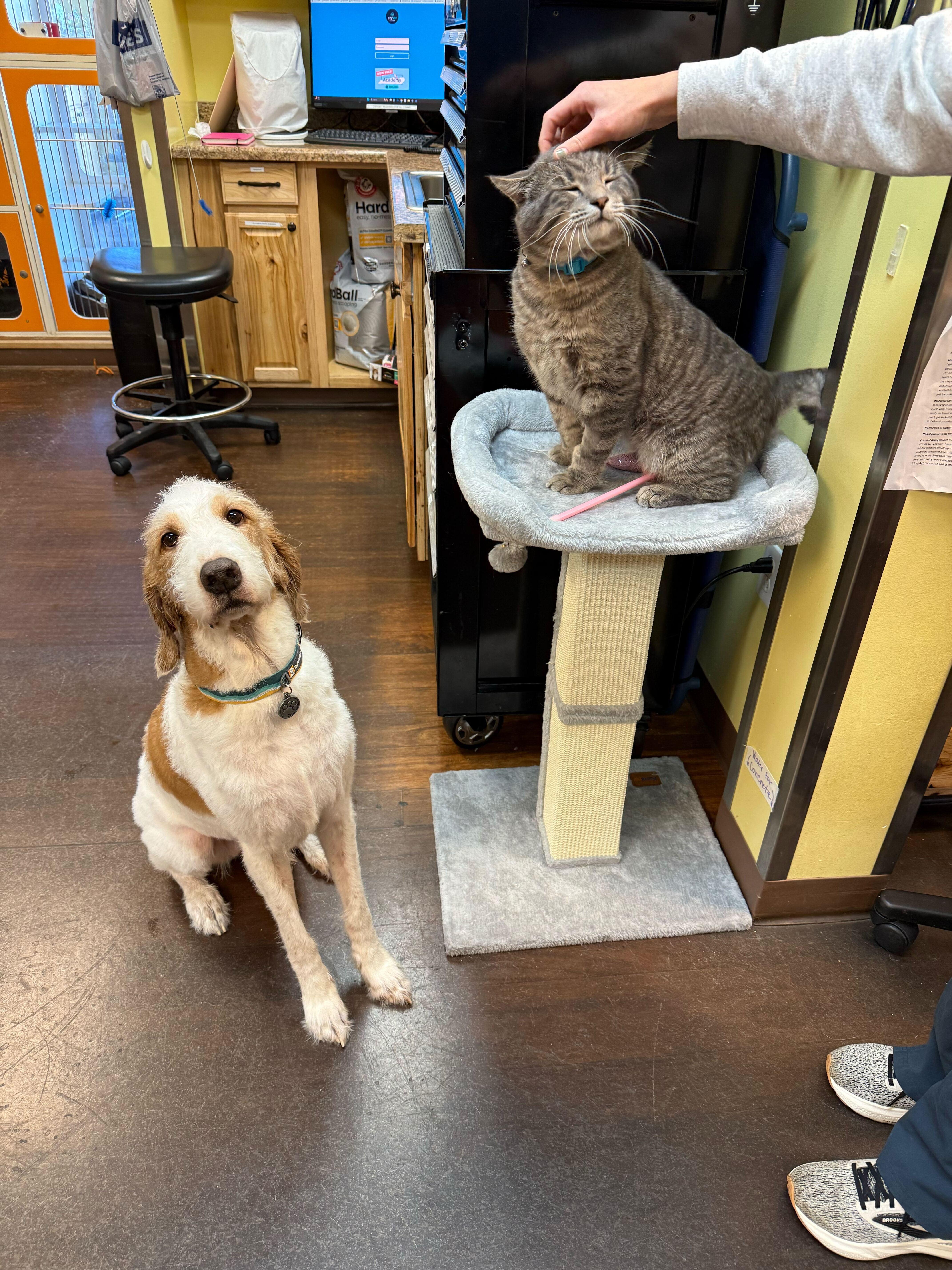 Concrete thumbnail 3