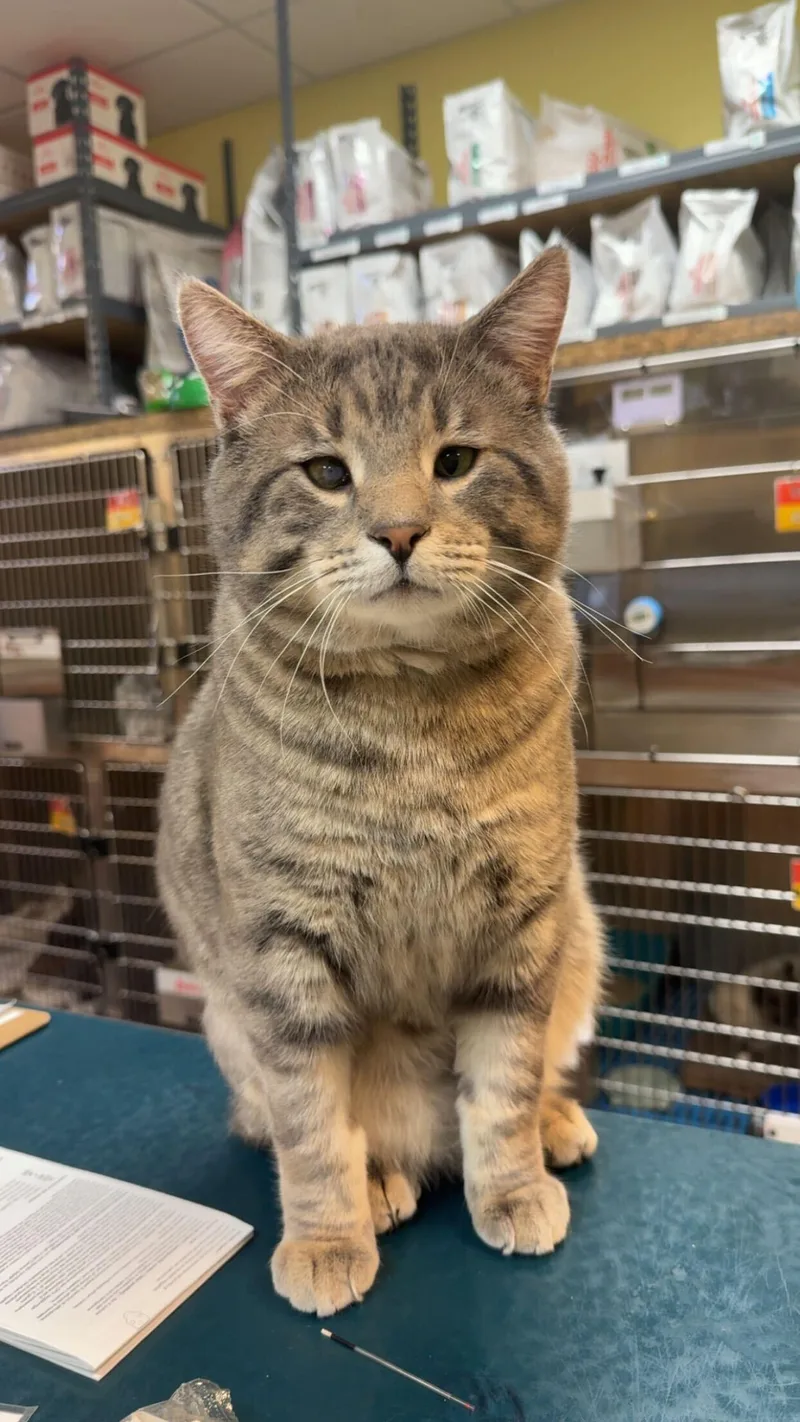 Concrete thumbnail 4