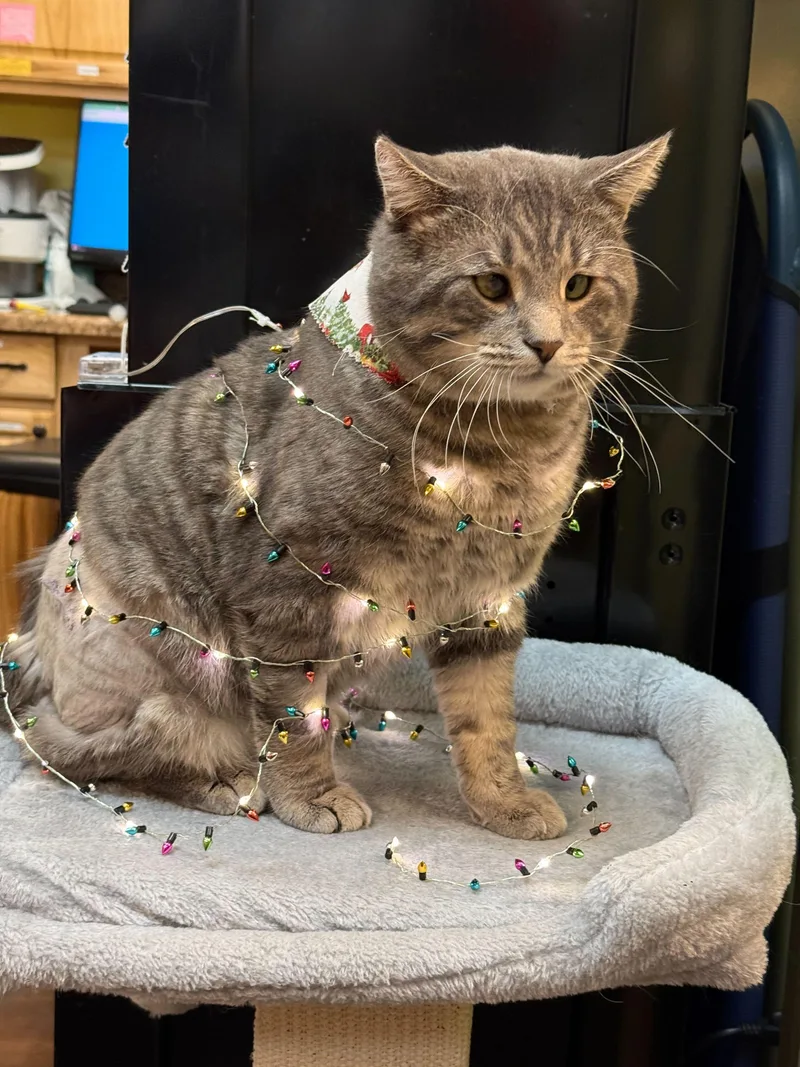 Concrete thumbnail 5