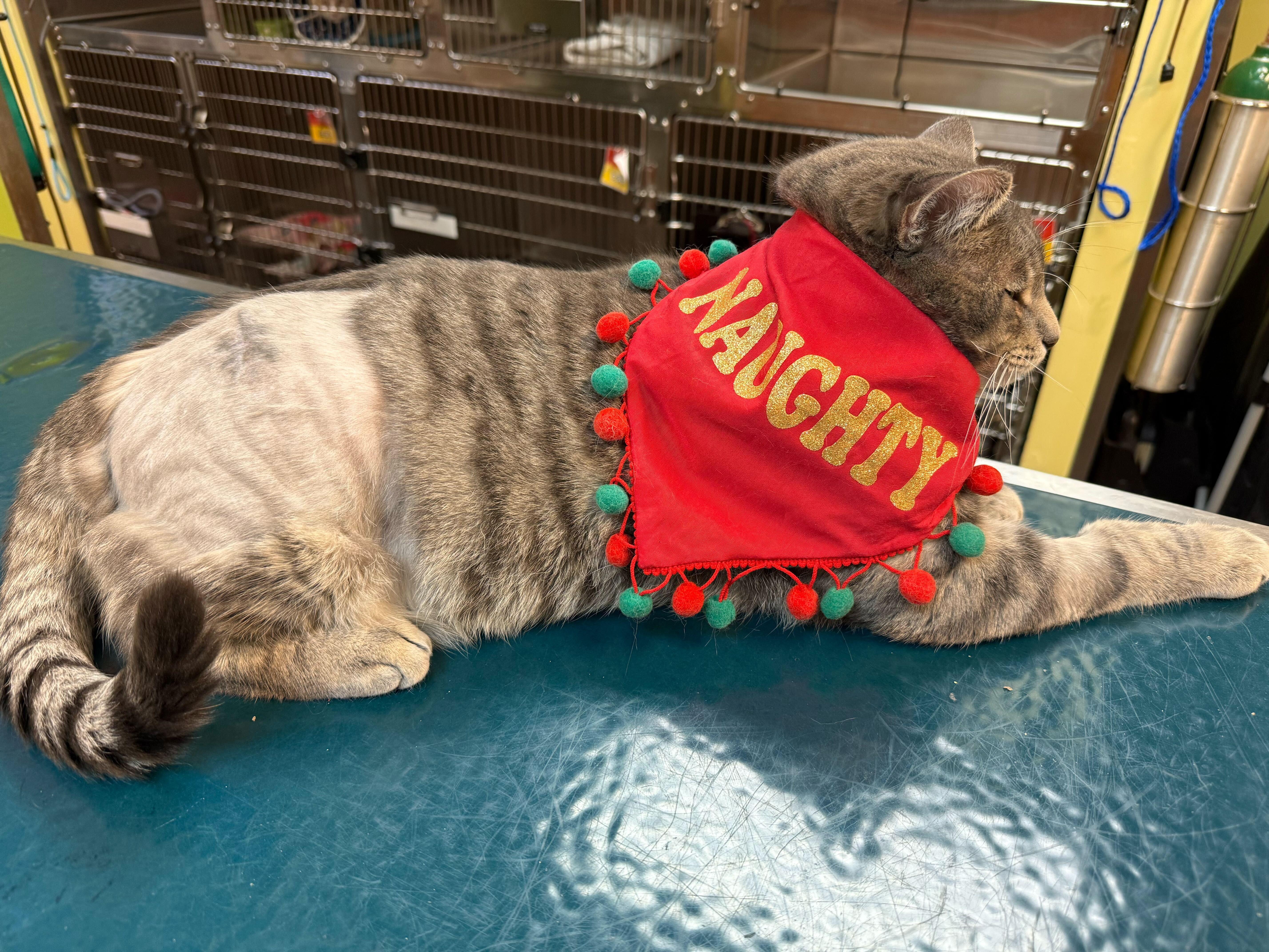 Concrete thumbnail 6