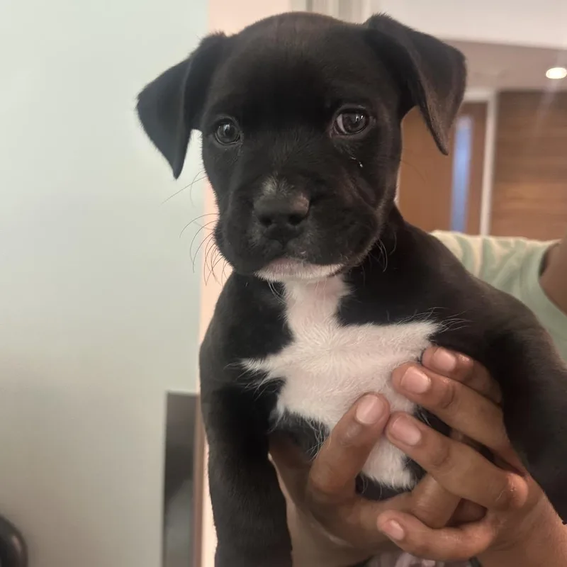 Mike Tyson thumbnail 2