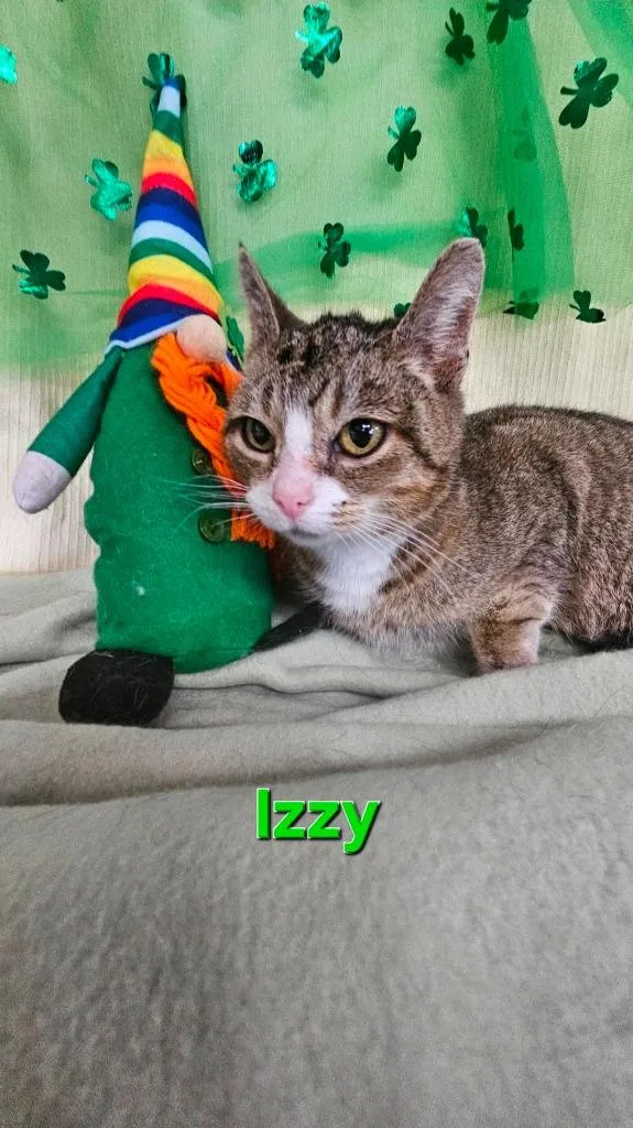Izzy thumbnail 2