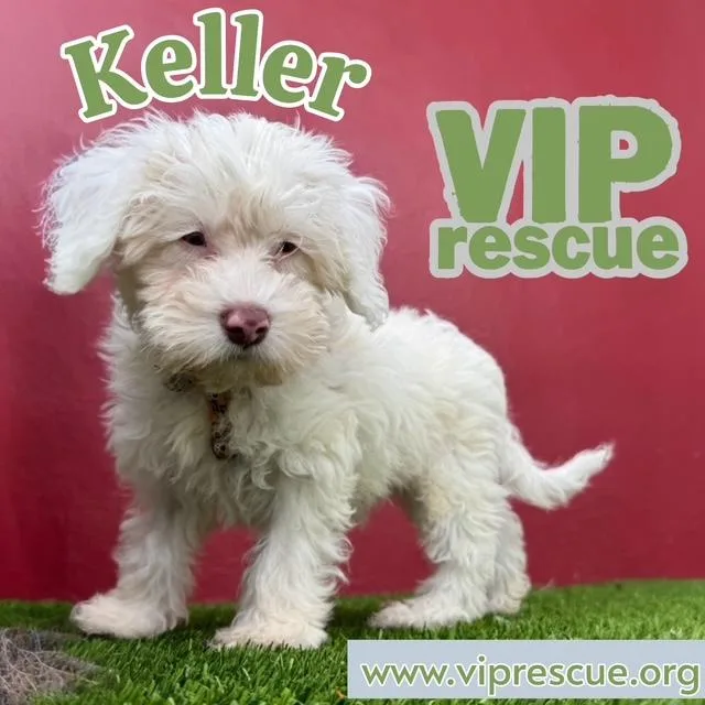 Keller  Redington Beach thumbnail 2