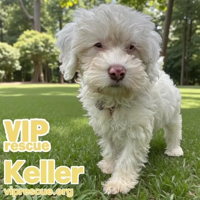 Keller  Redington Beach thumbnail 3