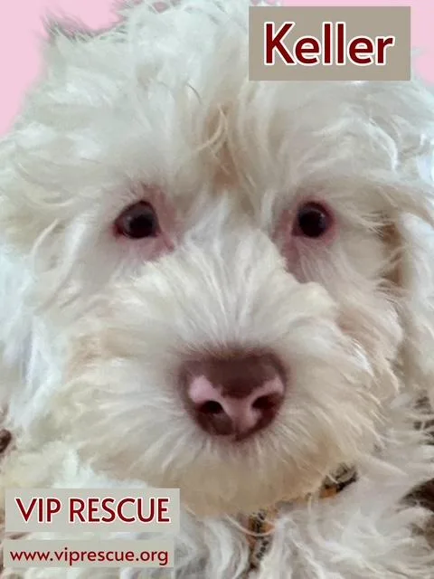 Keller  Redington Beach thumbnail 4