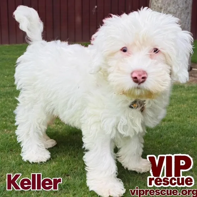 Keller  Redington Beach thumbnail 5