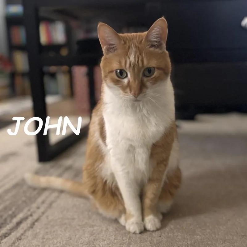 John & Lee thumbnail 2