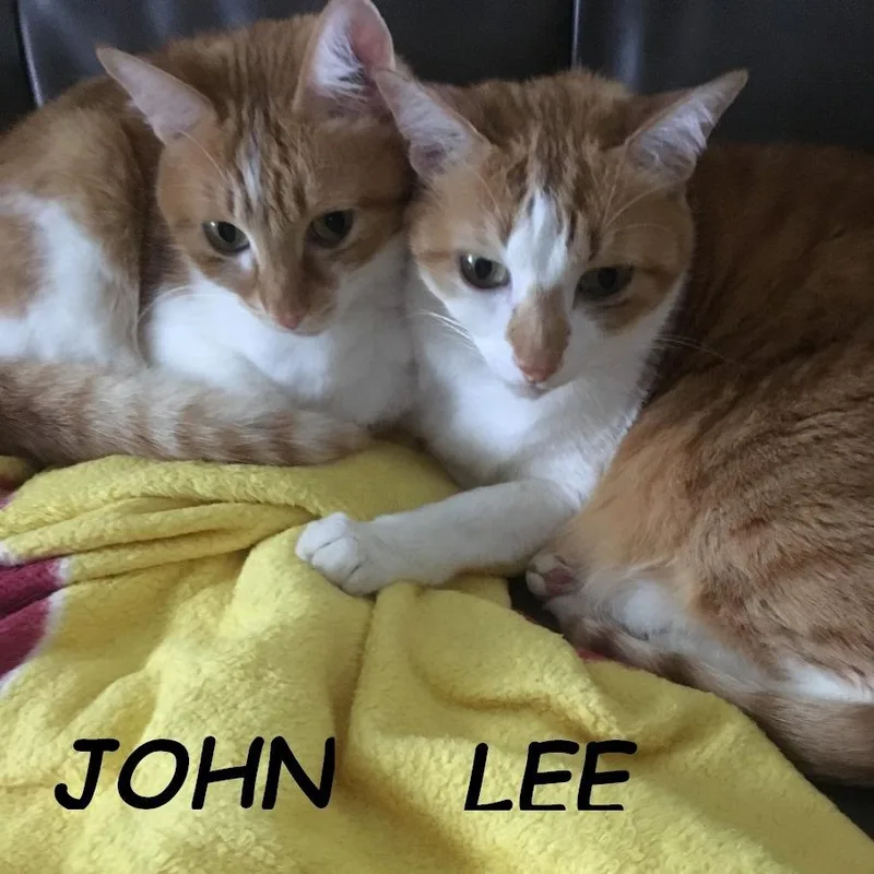 John & Lee thumbnail 3