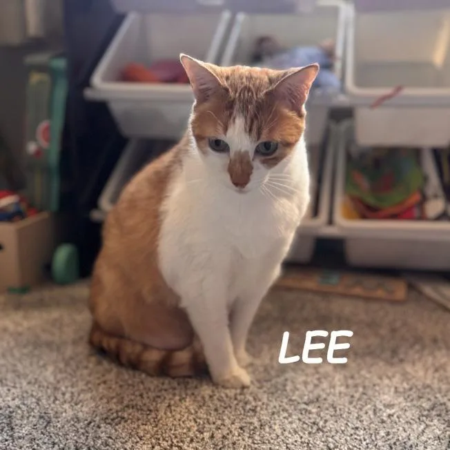 John & Lee thumbnail 4